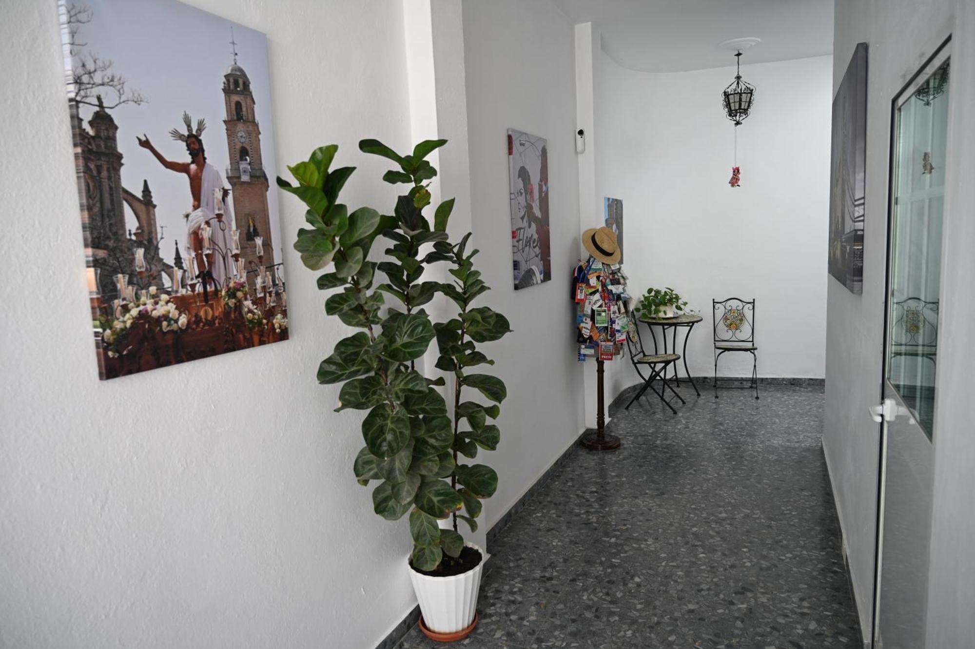 Bienvenidos A San Miguel Apartment Херес де ла Фронтера Екстериор снимка